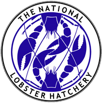 National Lobster Hatchery